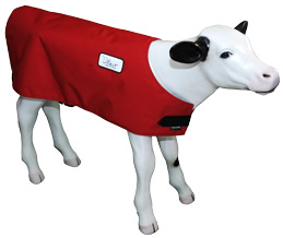 Calf Jacket