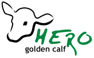 Logo_GCC_Hero