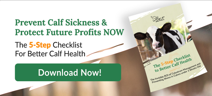 Prevent Calf Sickness and Protect Future Profits: The 5-Step checklist for better calf health by Golden Calf Company