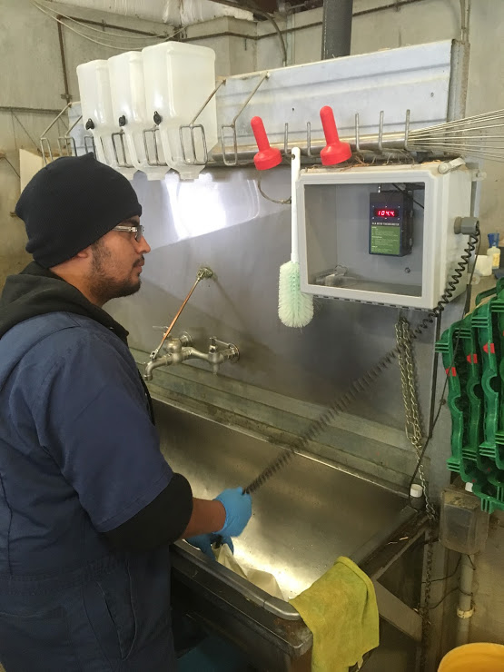 Energize Your Calf Care Employee with these 3 simple tips with Colostrum Feeding Management