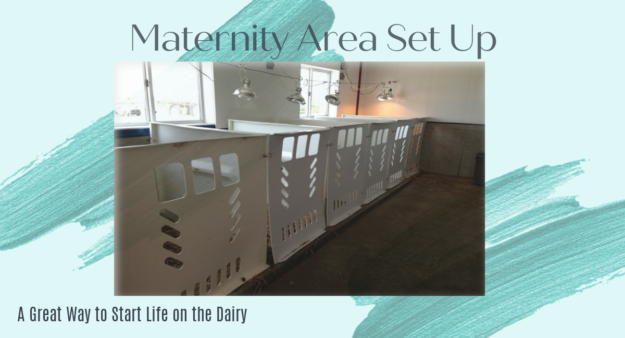 Setting Up your maternity area