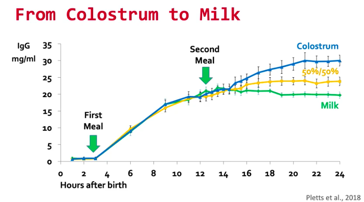 Second Feeding of Colostrum graph
