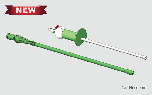 Calf Hero Tube Feeding | Plastic Esophageal Tube Feeder | Stainless steel calf tube